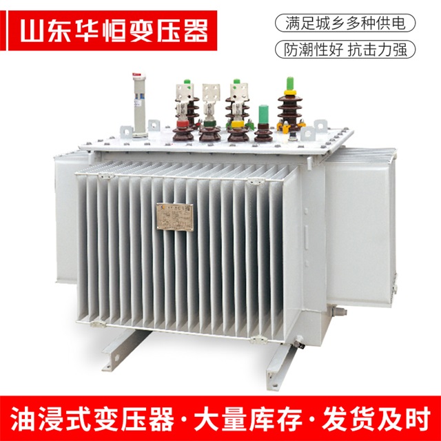 S13-10000/35美姑美姑美姑电力变压器